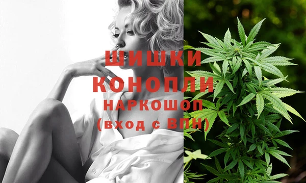 прущие грибы Слюдянка