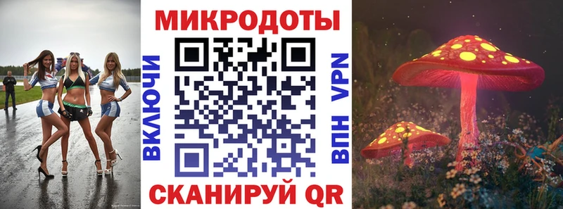 сайты даркнета состав  Рузаевка  Псилоцибиновые грибы Psilocybine cubensis 
