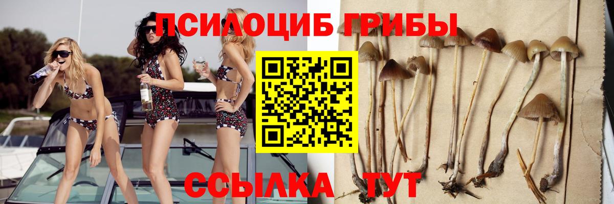 Галлюциногенные грибы GOLDEN TEACHER Рузаевка